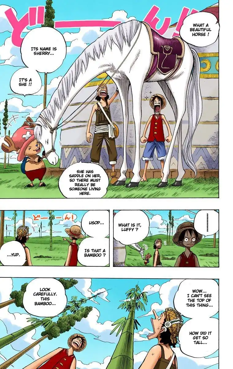 One Piece - Digital Colored Comics Chapter 304 16